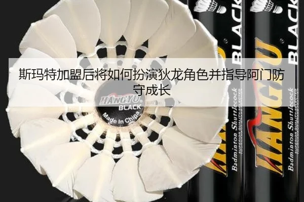斯玛特加盟后将如何扮演狄龙角色并指导阿门防守成长 - Leyu